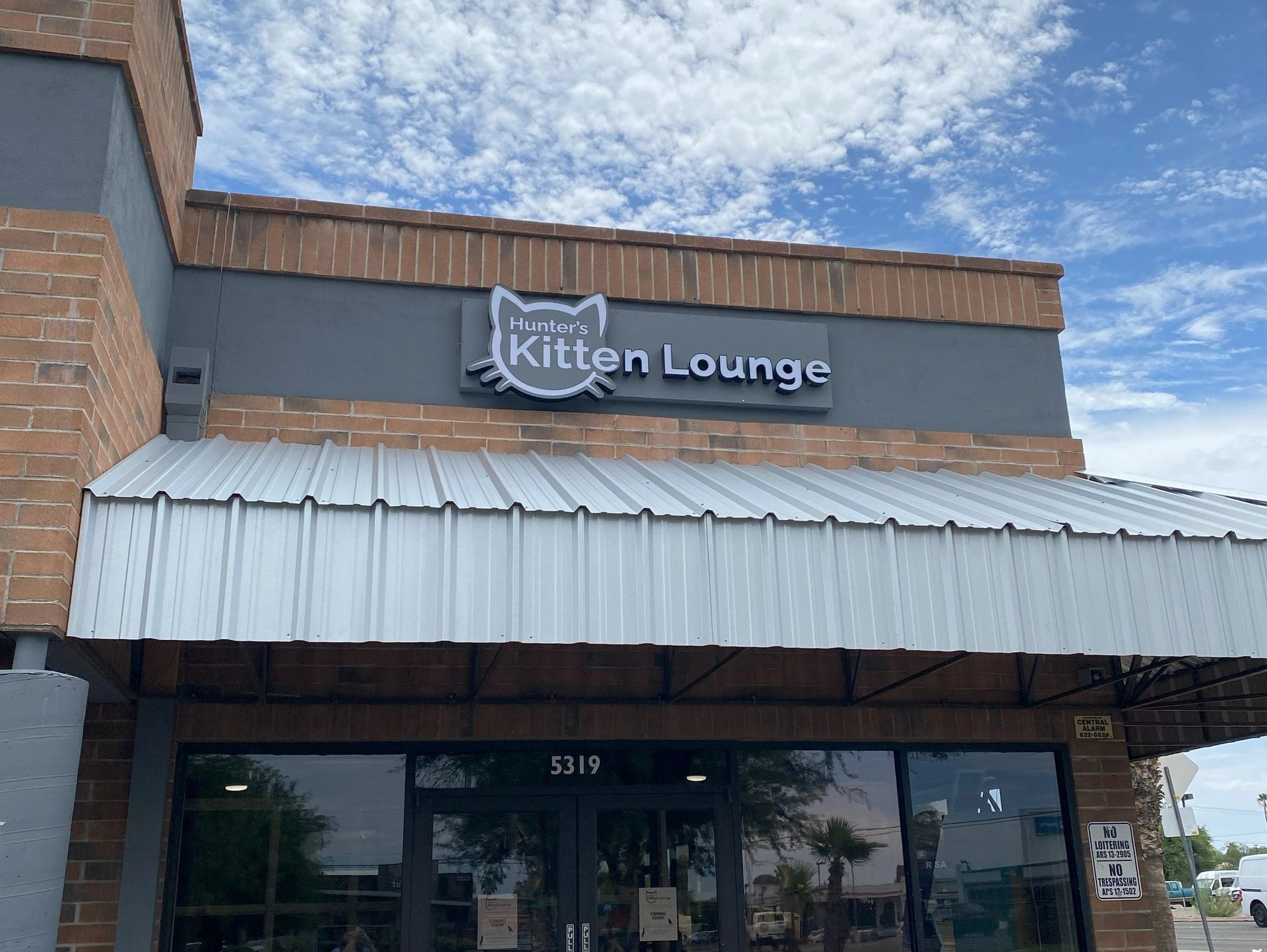 Hunter's Kitten Lounge